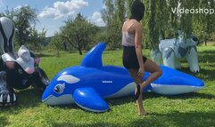 2 girls vs one 3 meter orca