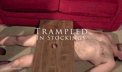 Trampled In Stockings
