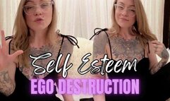 Self Esteem Ego Destruction