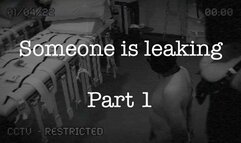 Someone Is Leaking Part 1