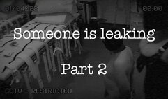 Someone Is Leaking Part 2
