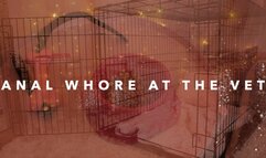 Anal Whore at The Vet with Lexi Grey and Freshie Juice