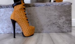 Findom Debt Increase