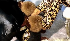 worship my slippers, slave! (first point of view)