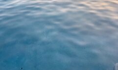 Pleasure Diving HD edit