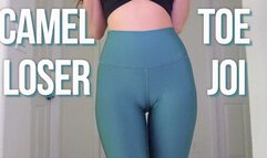 Camel Toe Worship for Losers