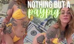 Nothing But A Paypig