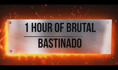 1 hour of brutal bastinado - 12 girls
