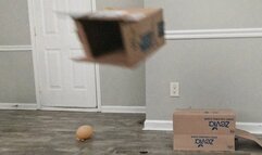 Fat Ass Jiggles and Shakes as Sexy Goddess Stomps on Disgusting Trash 4k