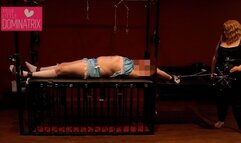 Sissy Edged by BBW Domme LOW RES