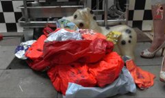 Shredding the remains 4