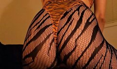 Tiger Mommy Pulses Her Ass on Your Face