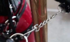 Red Latex Rubberdoll Pole-Chained BDSM & Vibrate