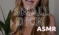 Small Dick ASMR (WITH BINAURAL AUDIO)
