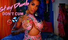 Stay Dumb, Don't Cum GOONER!