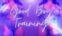 Good Boy Training