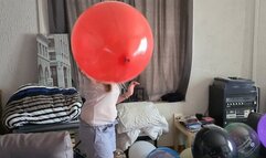 Sophie mass pop for summer