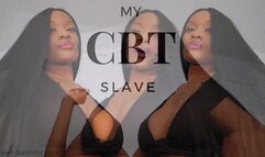 My CBT Slave