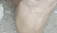 Tempest showing off in guest room