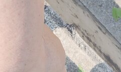 Veins and wrinkled soles