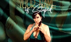 Your Name is Stupid WMV