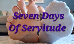 Seven Days Of Servitude