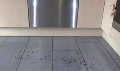 Coffee beans under hard wooden Mules