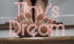 Tiny's Dream - HD