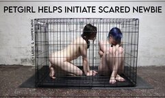 PetGirl Helps Initiate Scared Newbie