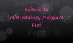 Submit To Miss Whitney Morgan's Feet - wmv