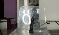 Chloe ducked herself both holes and suck clean