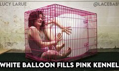 White Balloon Fills Pink Kennel