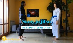 Samy ju jitsu standing armlocks