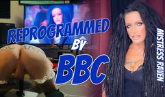 REPROGRAMMED BY BBC