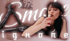 Smoke Ignore