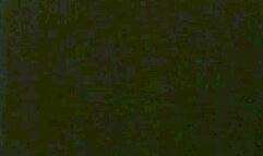 Big Motorcycle Brawl