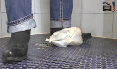 Raw Chicken under my Sendras