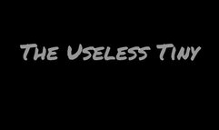 Bootyful Giantess Finds an Useless Tiny - Gets Angry Trying to Make Them a Foot Slave - POV as a Tiny Person