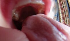 Flori's exotic Dessert 4K VR360