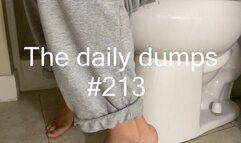 The daily dumps #213