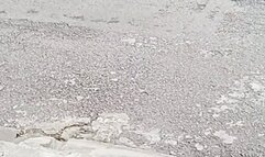 Crank and drive : Casual run to the store Part 2