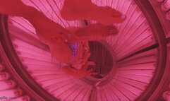 video from private collection