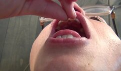 Addsion Swallows Micro Men