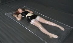 Maid flogging in a vacuum bed
