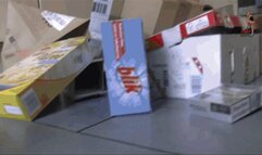 Cardboard boxes trample 2
