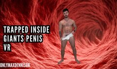 TRAPPED INSIDE GIANTS PENIS VR