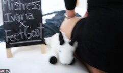 Mistress Ivana exposes fake masseuse! Epic foot massage, sockjob, footjob, foot fucking, and cum on soles!