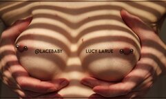 Evening Light Closeup Tit Play