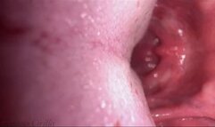 Giantess Cirilla - Downsizing