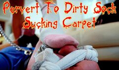 Pervert To Dirty Sock Sucking Carpet (HD 4K MP4)
